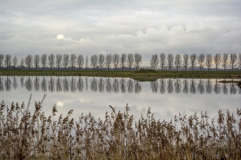 Netherlands Map
